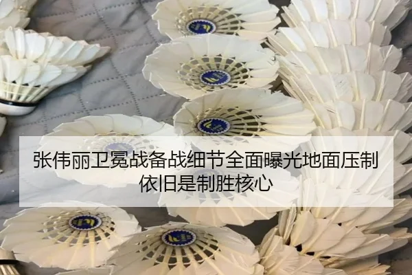 zhang-wei-li-wei-mian-zhan-bei-zhan-xi-jie-quan-mian-bao-guang-di-mian-ya-zhi-yi-jiu-shi-zhi-sheng-he-xin-2-903.jpg